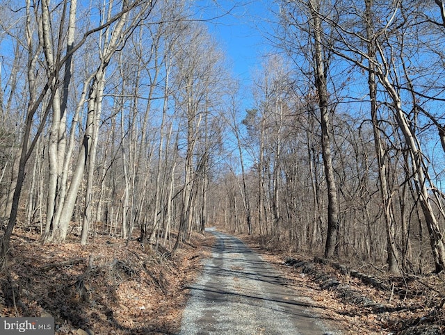 view of road