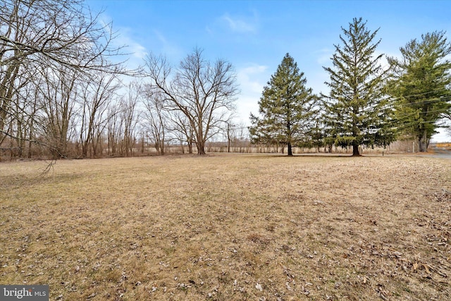 view of yard featuring a rural view