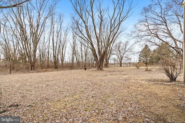 view of yard featuring a rural view