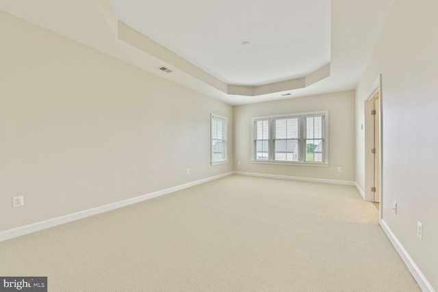 20765 Duxbury Ter, Ashburn, VA 20147 - spare room featuring a raised ceiling and light carpet