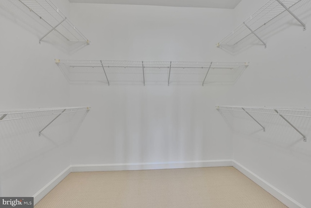 20765 Duxbury Ter, Ashburn, VA 20147 - walk in closet with carpet flooring