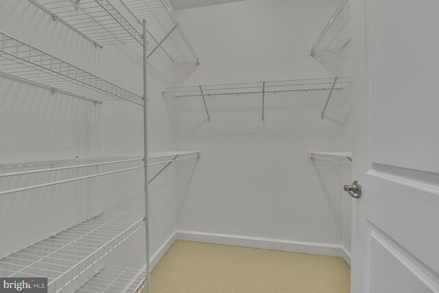 20765 Duxbury Ter, Ashburn, VA 20147 - walk in closet with carpet floors