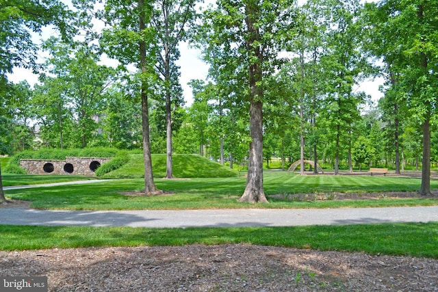 20765 Duxbury Ter, Ashburn, VA 20147 - view of property's community with a lawn