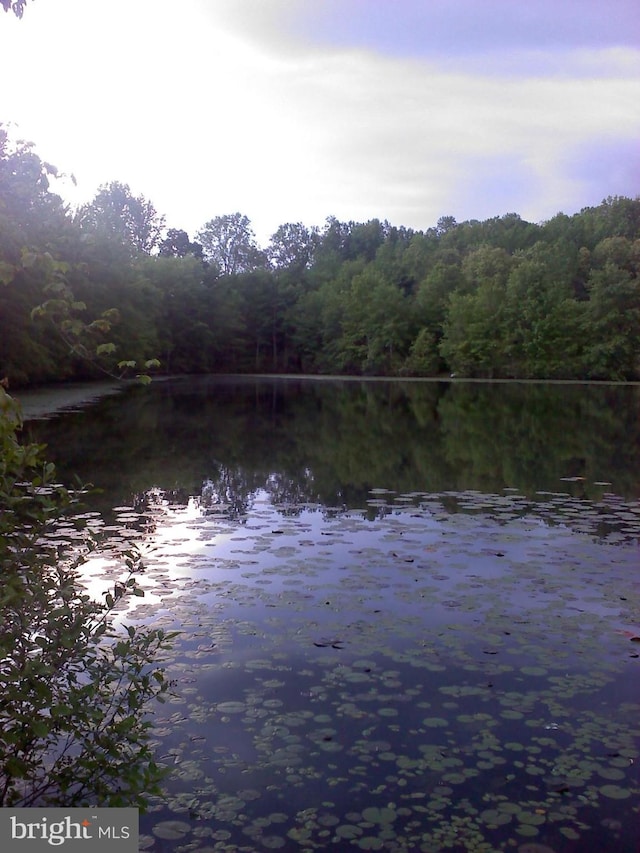 property view of water featuring a wooded view