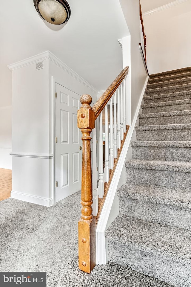 staircase with crown molding and carpet