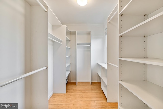 walk in closet featuring light hardwood / wood-style floors