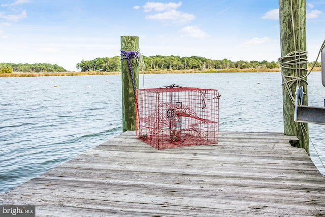 dock area with a water view