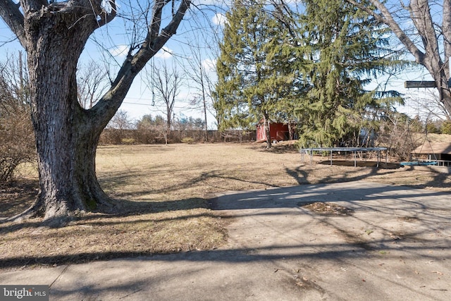 view of yard featuring a trampoline and an outdoor structure