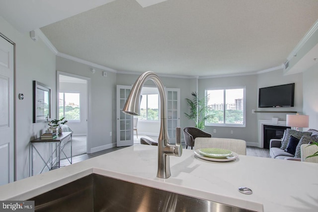 kitchen with a sink, a wealth of natural light, open floor plan, and light countertops