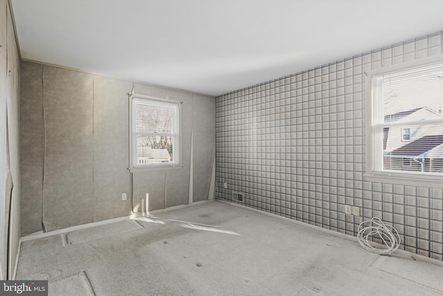 empty room featuring carpet flooring and plenty of natural light