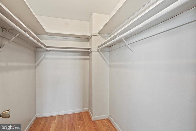 spacious closet featuring wood finished floors