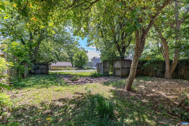 708 Locust Ave, Charlottesville, VA 22902 - view of yard