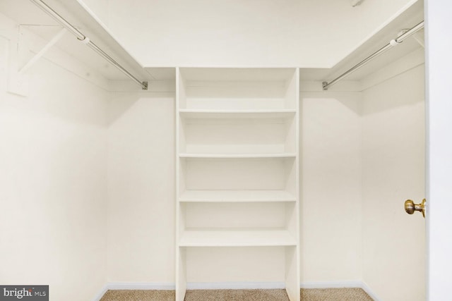 spacious closet featuring light carpet