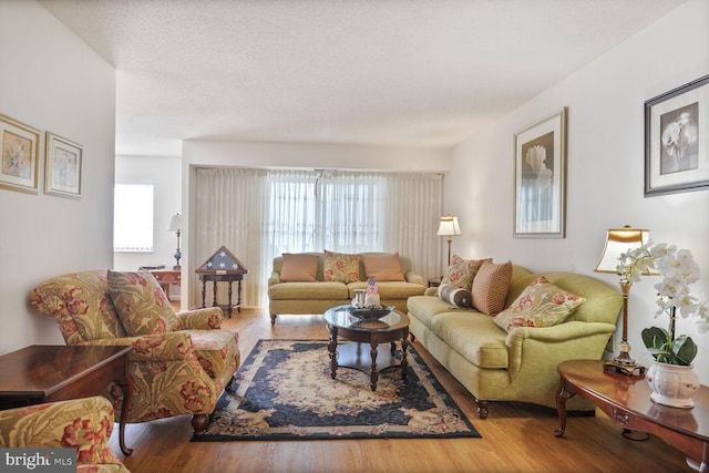 living area with wood finished floors