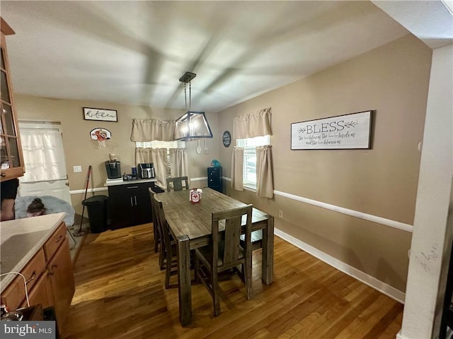 dining room with dark hardwood / wood-style floors