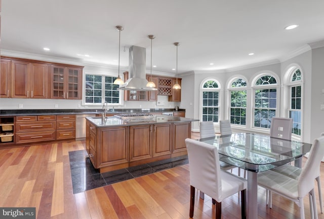 kitchen featuring dark wood-type flooring, island exhaust hood, decorative light fixtures, and an island with sink