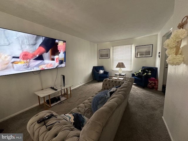 home theater with carpet