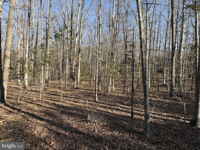 LOT83A Reliance, Middletown VA, 22645 land for sale