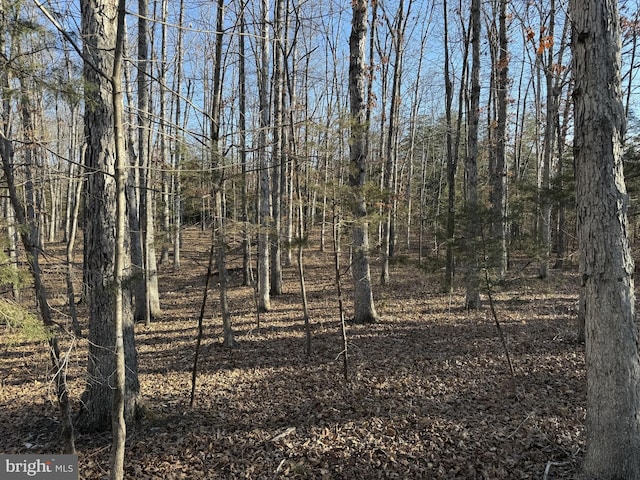 Listing photo 2 for LOT83A Reliance, Middletown VA 22645