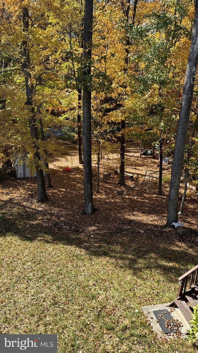 view of yard featuring a storage unit