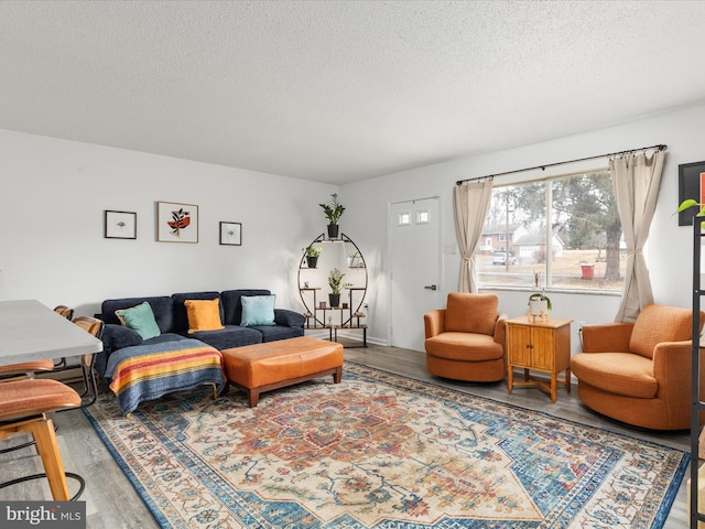 living room featuring wood-type flooring and a textured ceiling