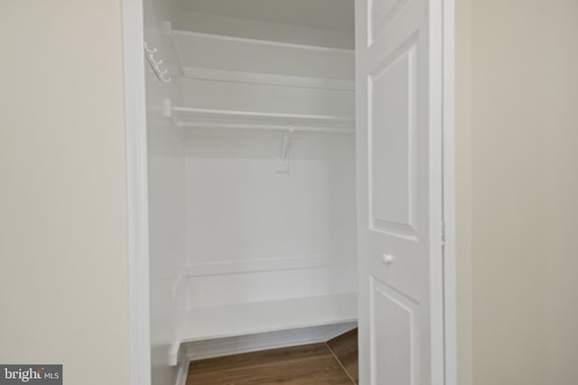 view of closet