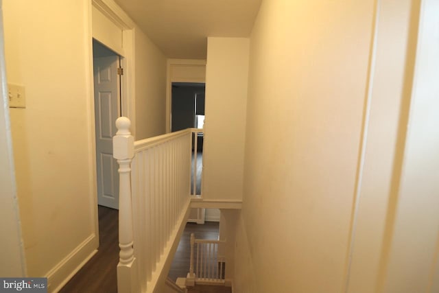 corridor with dark hardwood / wood-style floors