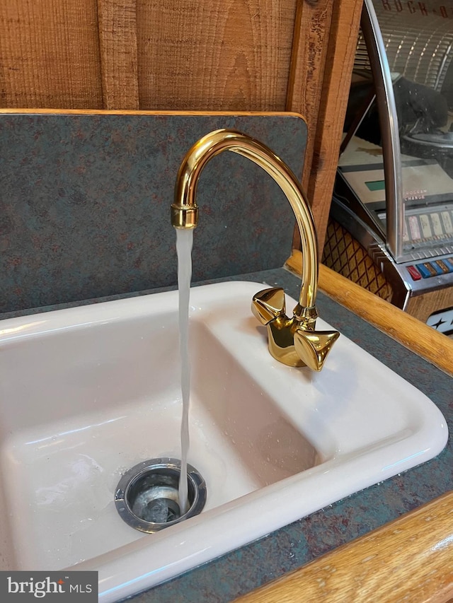 interior details featuring sink