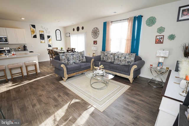 living room featuring dark hardwood / wood-style flooring and sink