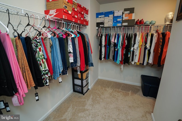 spacious closet featuring carpet floors