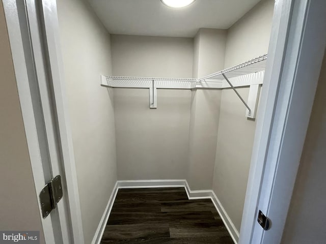 spacious closet with dark hardwood / wood-style floors