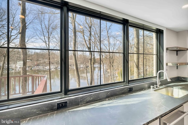 room details featuring sink, stainless steel dishwasher, and a water view