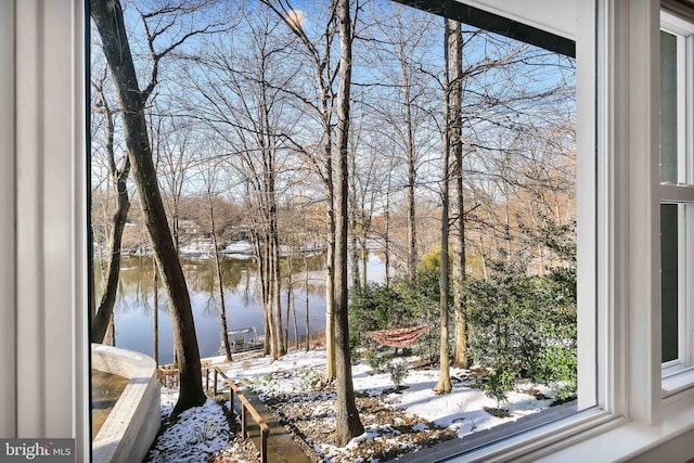 view of water feature