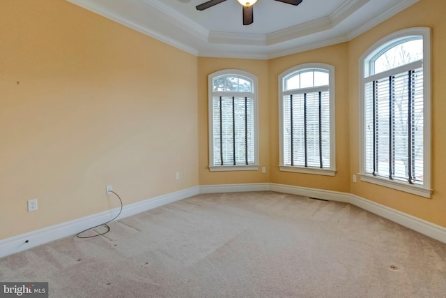 empty room featuring a raised ceiling, ornamental molding, and a healthy amount of sunlight