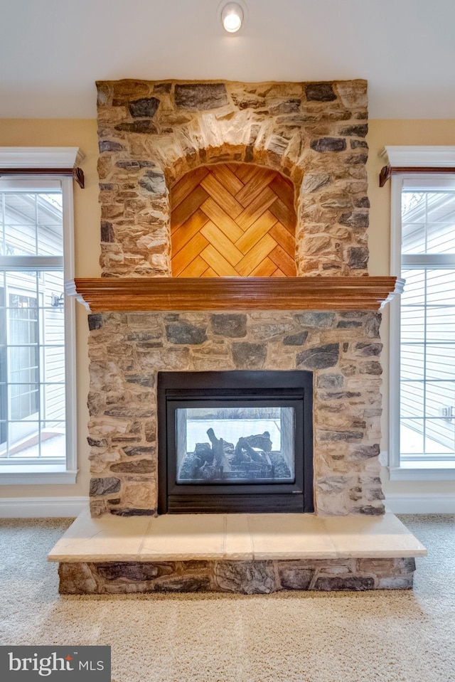 details featuring a stone fireplace and carpet