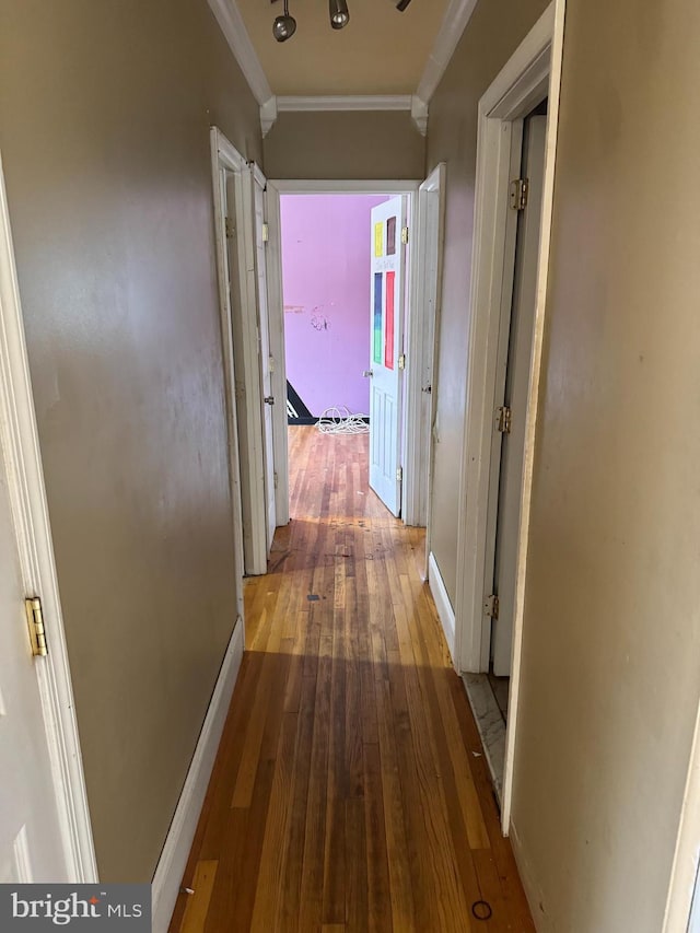 hall featuring crown molding and hardwood / wood-style floors