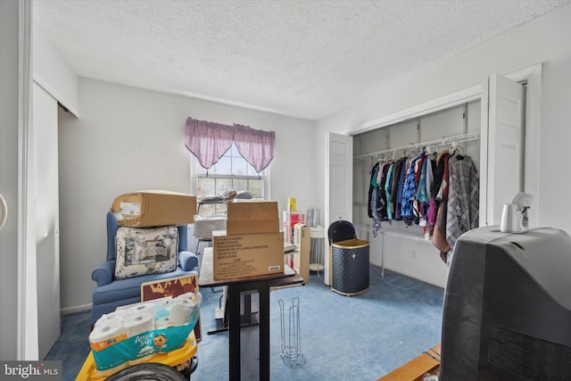 interior space featuring carpet, a closet, and a textured ceiling