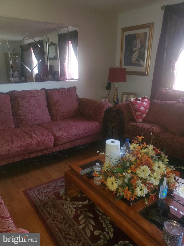 living room featuring hardwood / wood-style floors