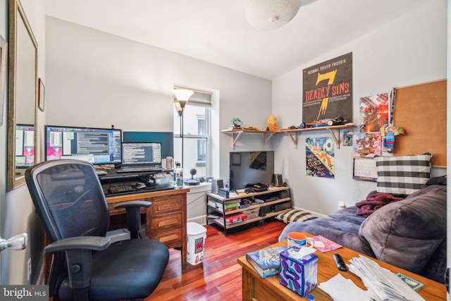 office featuring wood finished floors