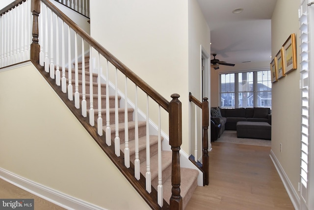 staircase featuring hardwood / wood-style flooring and ceiling fan