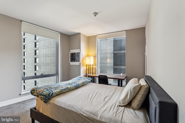 bedroom with floor to ceiling windows, carpet, and baseboards