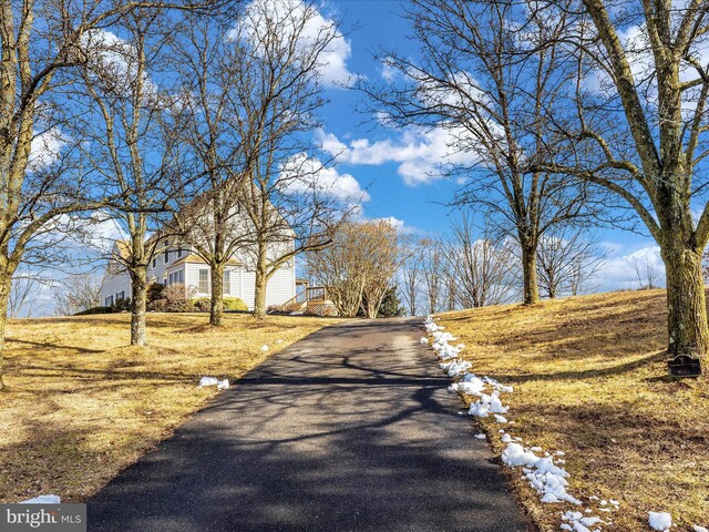 view of road with driveway