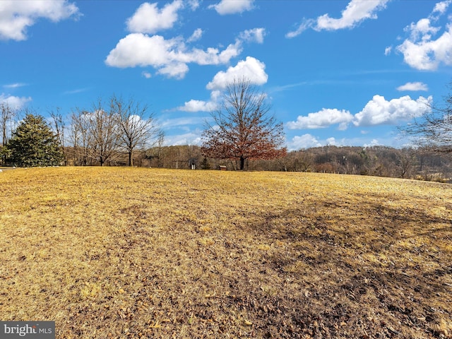 view of yard with a rural view