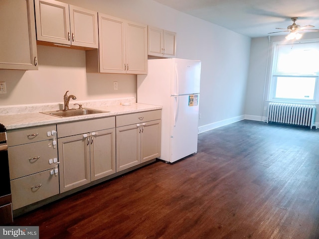 kitchen featuring sink, dark hardwood / wood-style floors, radiator, white fridge, and ceiling fan