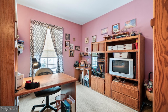 view of carpeted office space