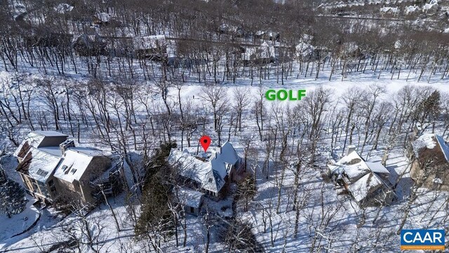 1023 Devils Knob Loop, Wintergreen Resort, VA 22967
