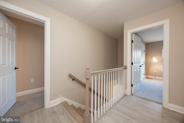 stairway featuring hardwood / wood-style floors