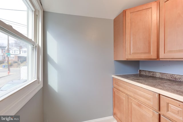 kitchen featuring a wealth of natural light and light brown cabinetry