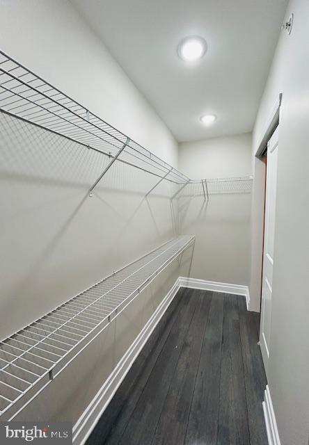 walk in closet with dark hardwood / wood-style floors