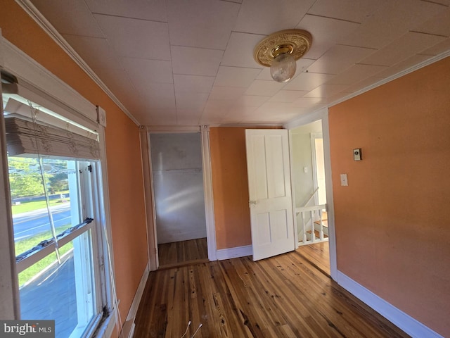 spare room featuring ornamental molding and wood-type flooring